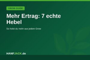 Mehr über den Artikel erfahren Erntemenge maximieren: 7 echte Hebel