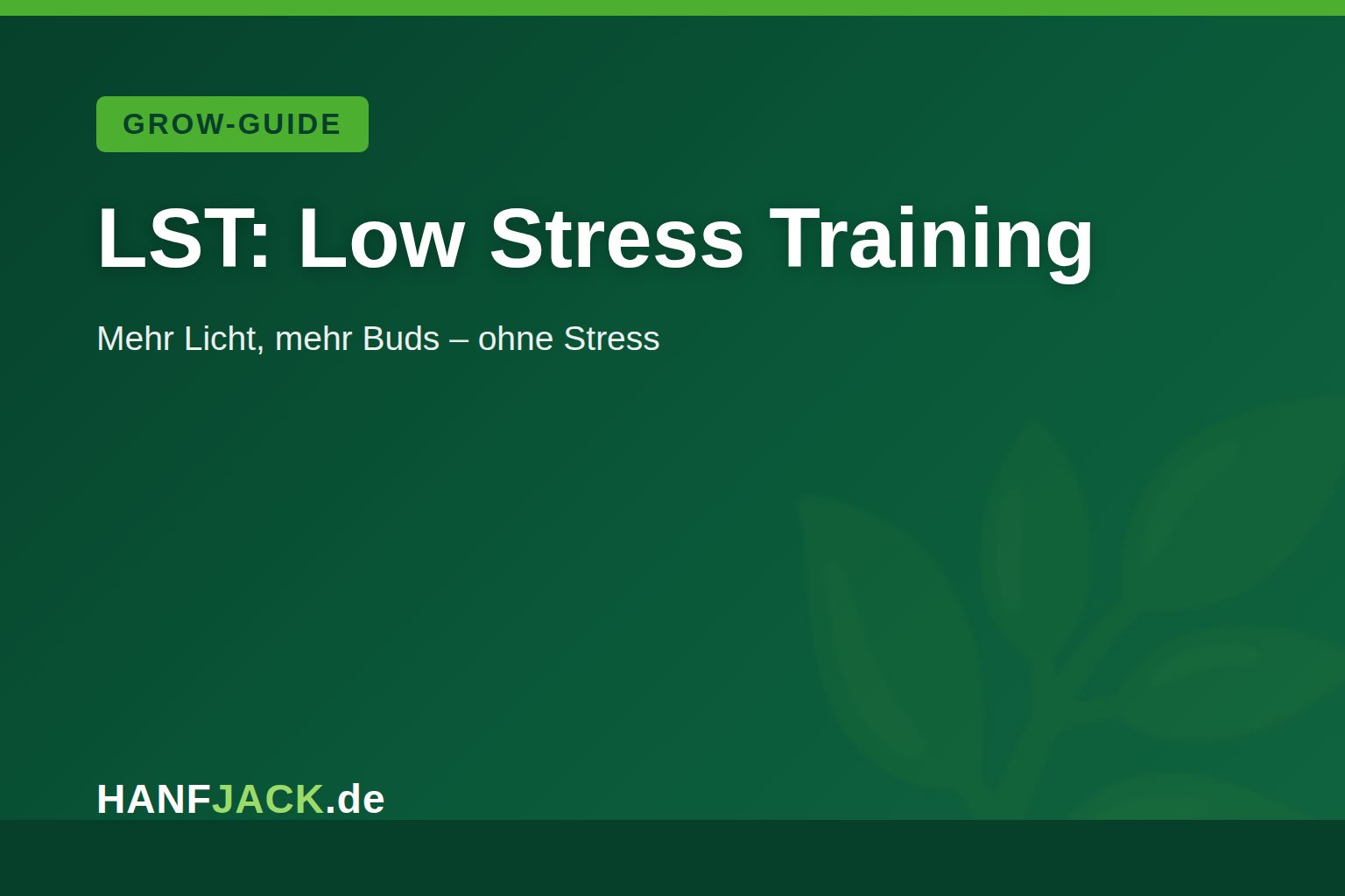 Du betrachtest gerade LST: Low Stress Training Schritt für Schritt