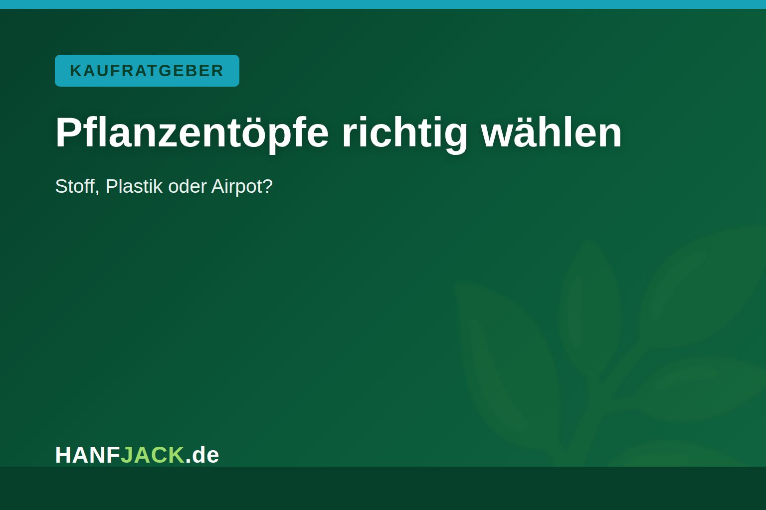 Du betrachtest gerade Pflanzentöpfe: Stoff, Plastik oder Airpot?