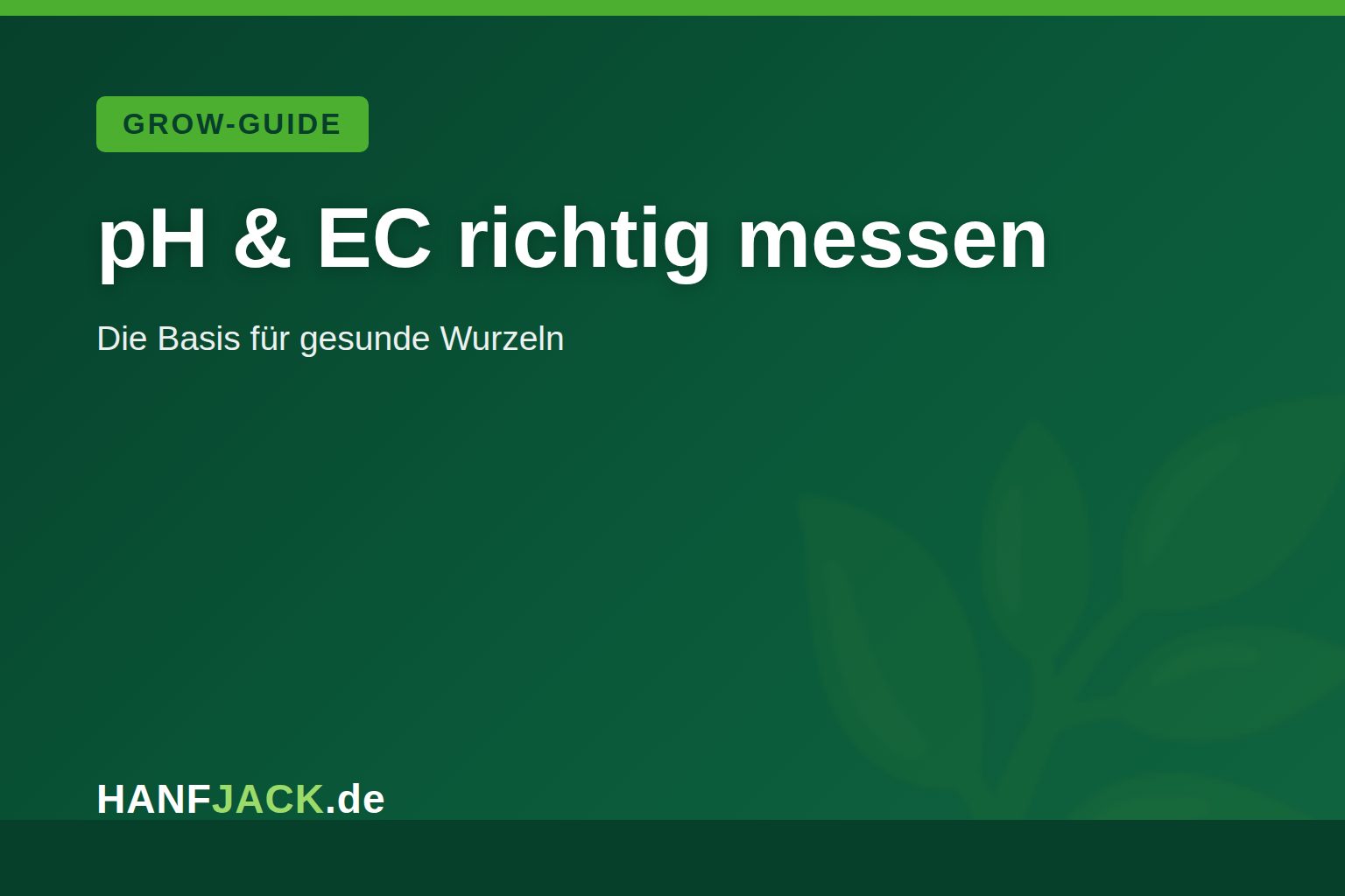 Du betrachtest gerade pH & EC messen: Grundlagen für gesunde Pflanzen