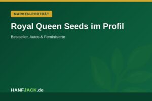 Mehr über den Artikel erfahren Royal Queen Seeds: Sorten & Stärken der Seedbank