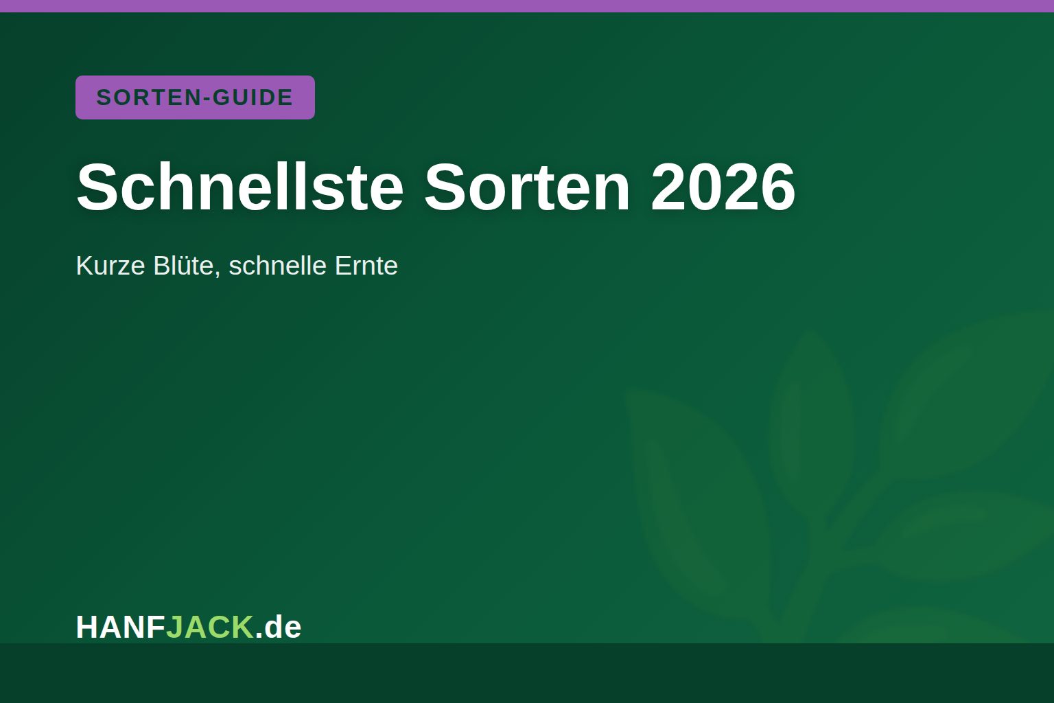 Du betrachtest gerade Schnellste Cannabis-Sorten mit kurzer Blütezeit
