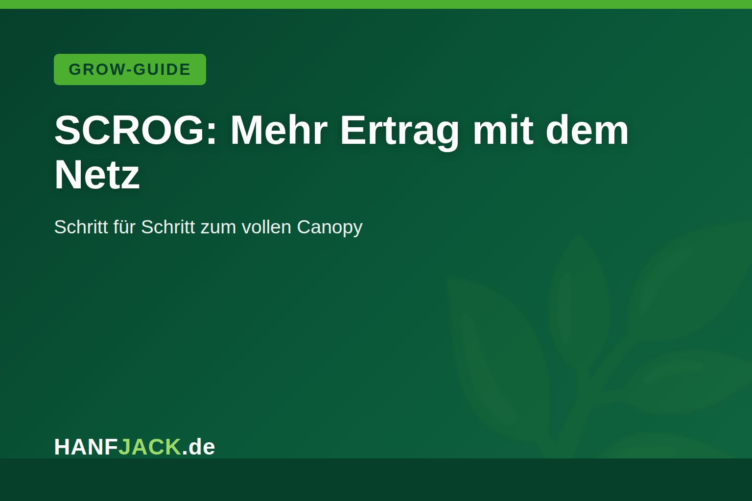 Du betrachtest gerade SCROG-Technik: Mehr Ertrag mit dem Netz