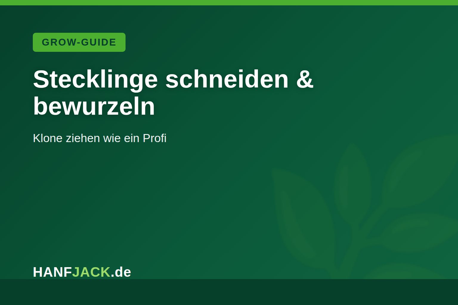 Du betrachtest gerade Stecklinge schneiden & bewurzeln: Anleitung