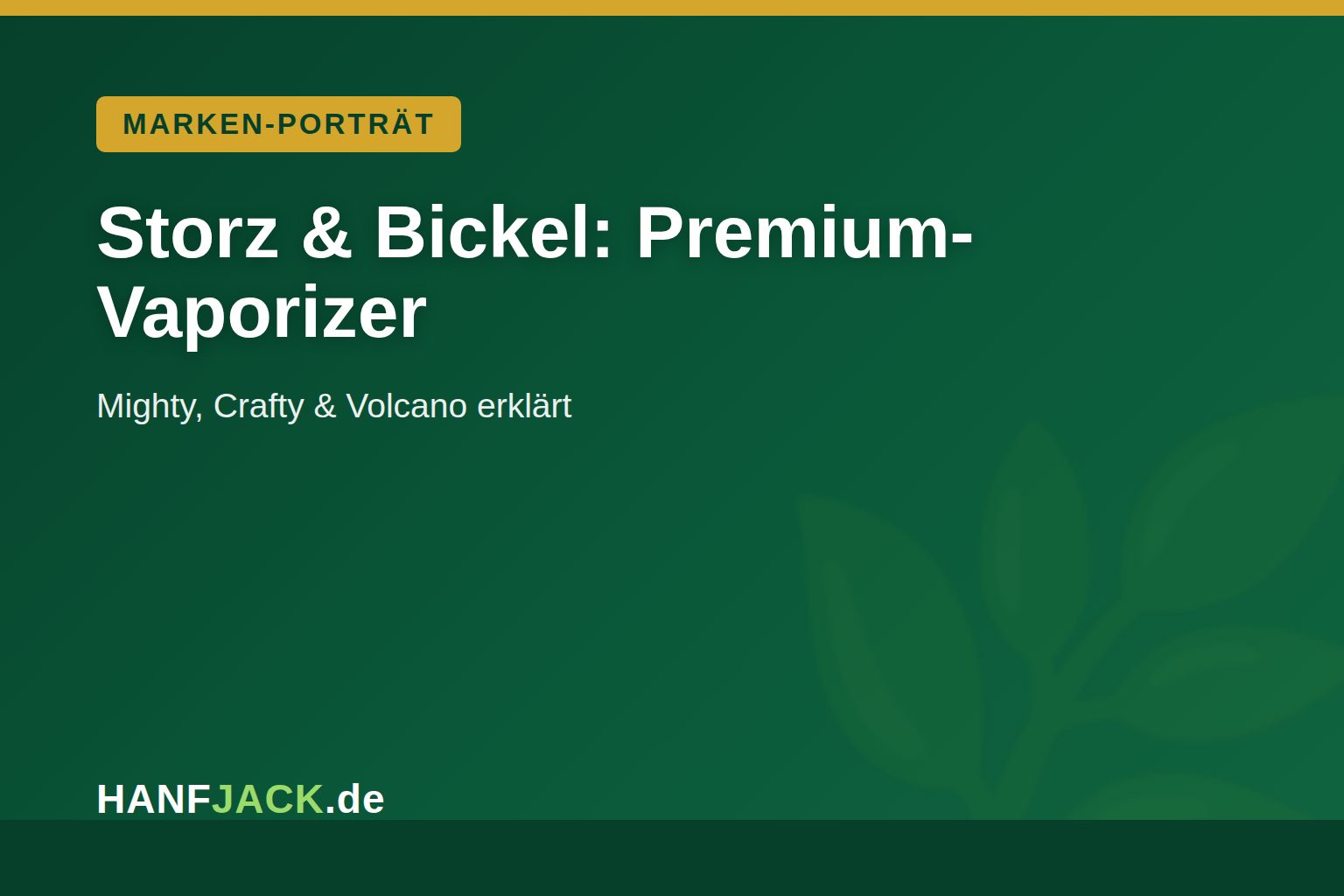 Du betrachtest gerade Storz & Bickel: Mighty, Crafty & Volcano im Profil
