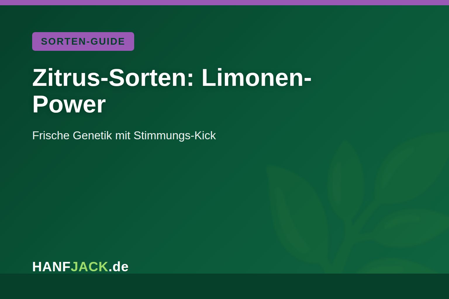 Du betrachtest gerade Zitrus-Cannabis-Sorten: Die Limonen-Power
