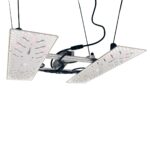 BloomStar Wingman 660L