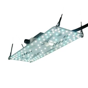 BloomStar FLUXshield Habibi 140 – 50W Wachstum