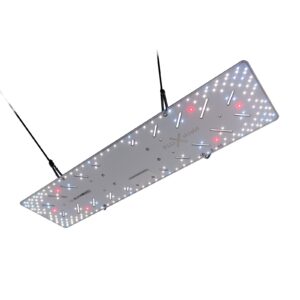 BloomStar FLUXshield 300L – 100W