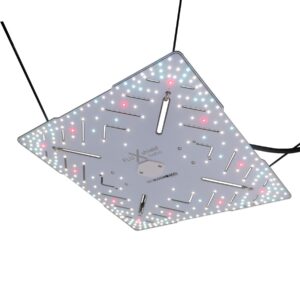 BloomStar FLUXshield Babo 450E – 150W