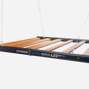 Dimlux Xtreme 800 W NIR MKII