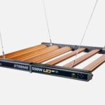 Dimlux Xtreme 550 W NIR MKII