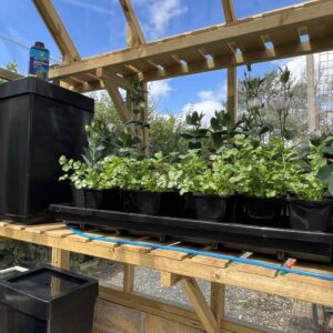 AutoPot Tray2Grow