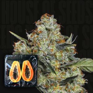 Dulce de Papaya