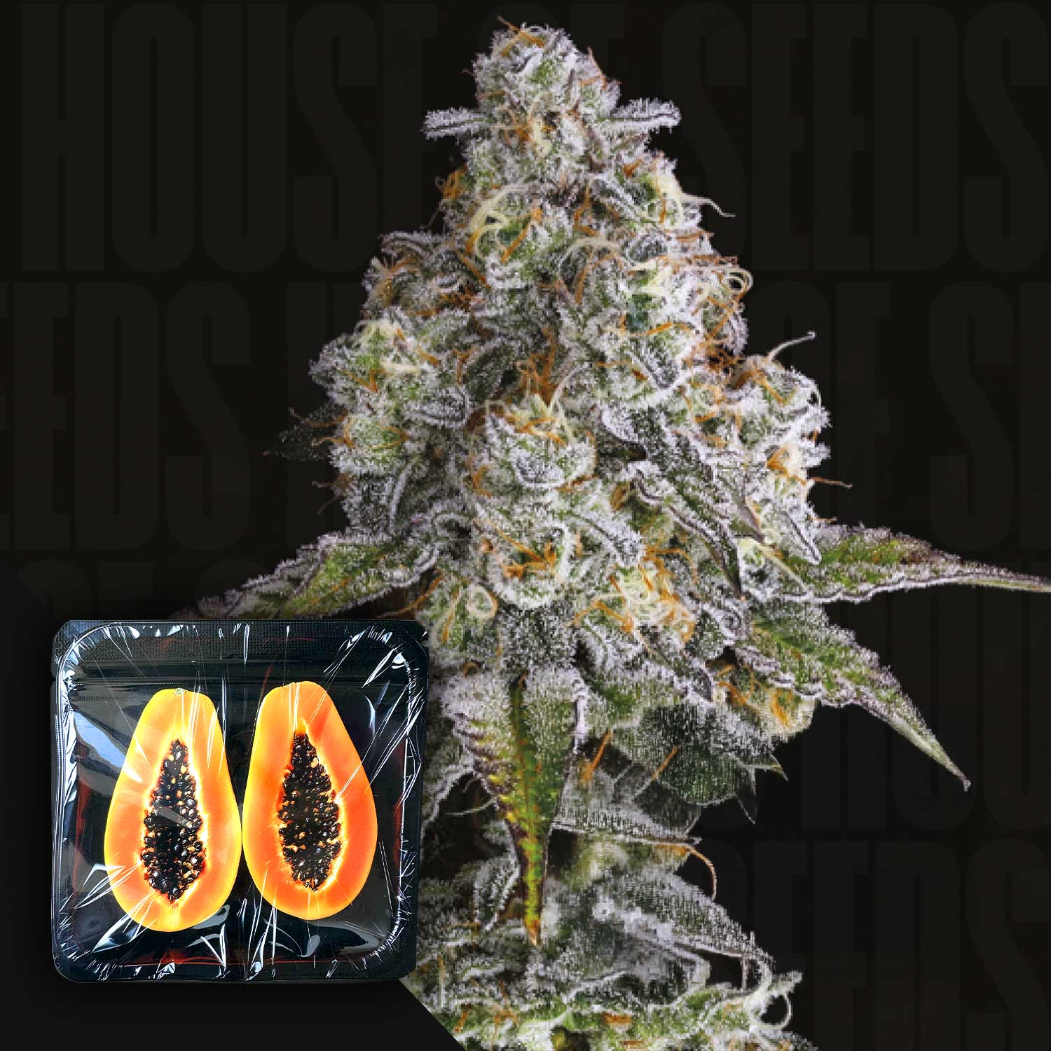 Drip District Feminisierte Cannabis Samen von Nine Weeks Harvest