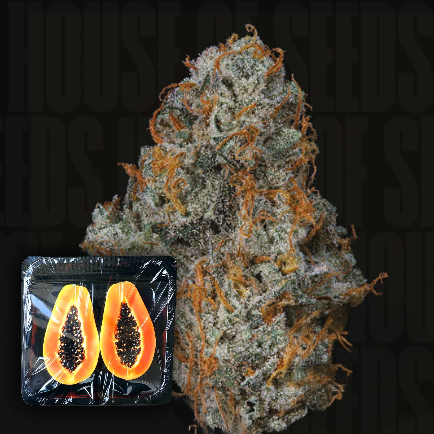 Fruit Fuel Feminisierte Cannabis Samen von Nine Weeks Harvest