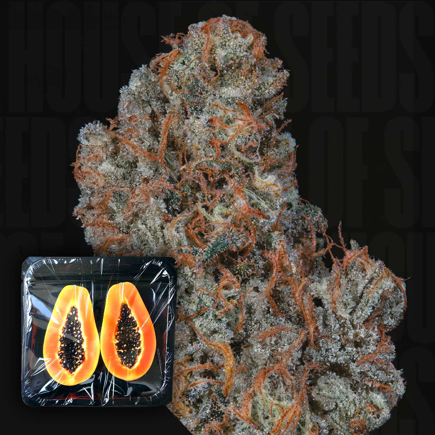 Riviera Drip Feminisierte Cannabis Samen von Nine Weeks Harvest