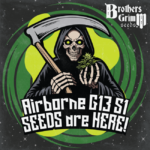 Brothers Grimm Seeds Airborne G13 S1 feminisiert – 9 Samen