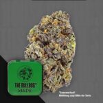 The Bulldog Gelato Auto