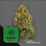 The Bulldog Skittlez Auto
