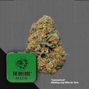 The Bulldog Papaya