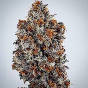 Ethos Genetics Banana Hammock RBX feminisiert – 5 Samen
