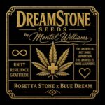 Brothers Grimm Seeds DreamStone by Montel feminisiert – 9 Samen