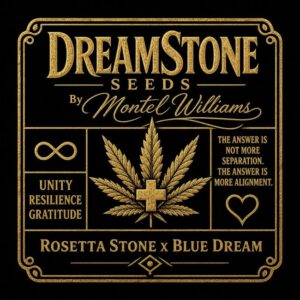 Brothers Grimm Seeds DreamStone by Montel feminisiert – 9 Samen