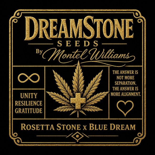 Brothers Grimm Seeds DreamStone by Montel feminisiert – Samenverpackung