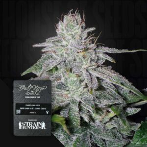 Green House Seed Co. Franco’s Lemon Cheese