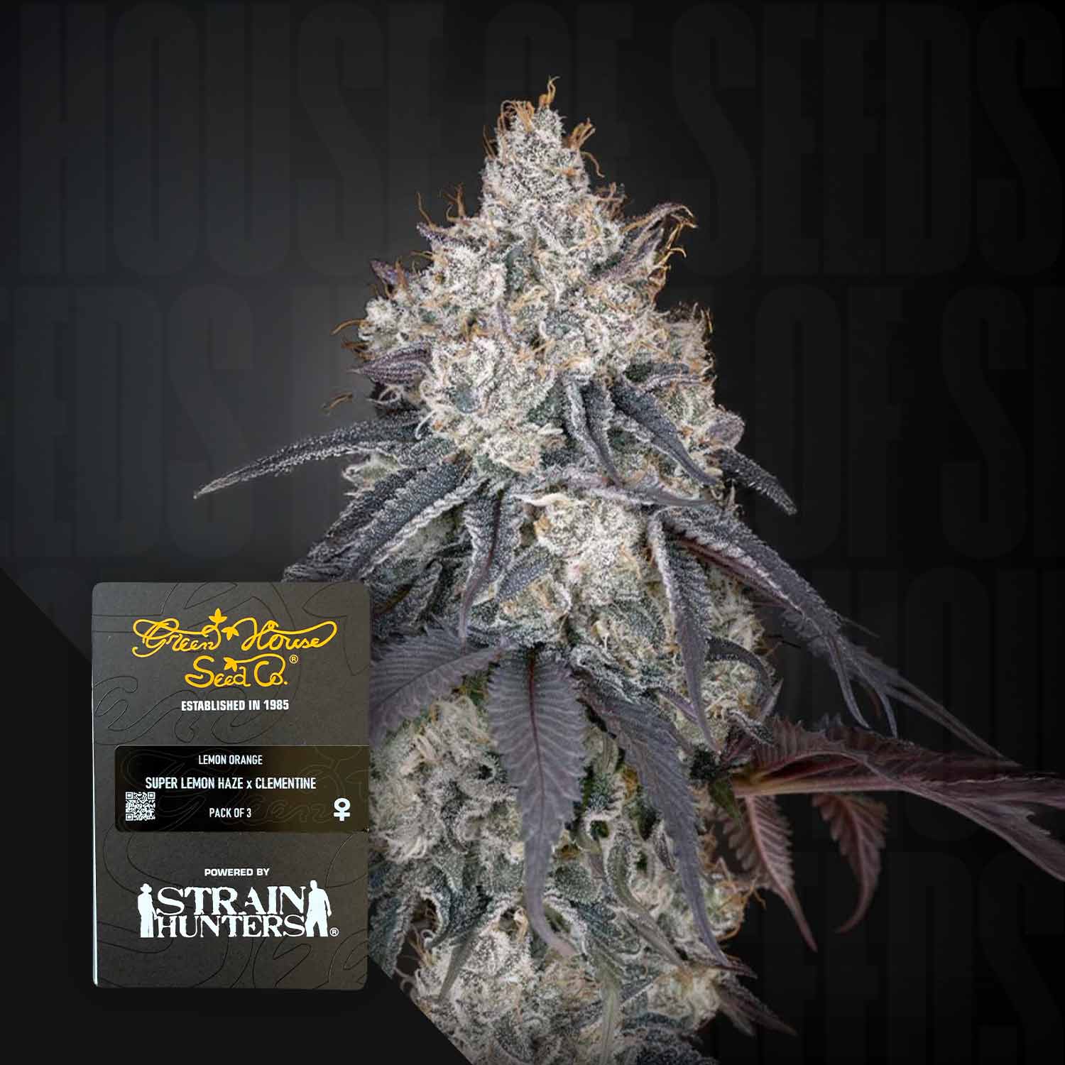 Green House Seed Co. Lemon Orange Feminisierte Cannabis Samen