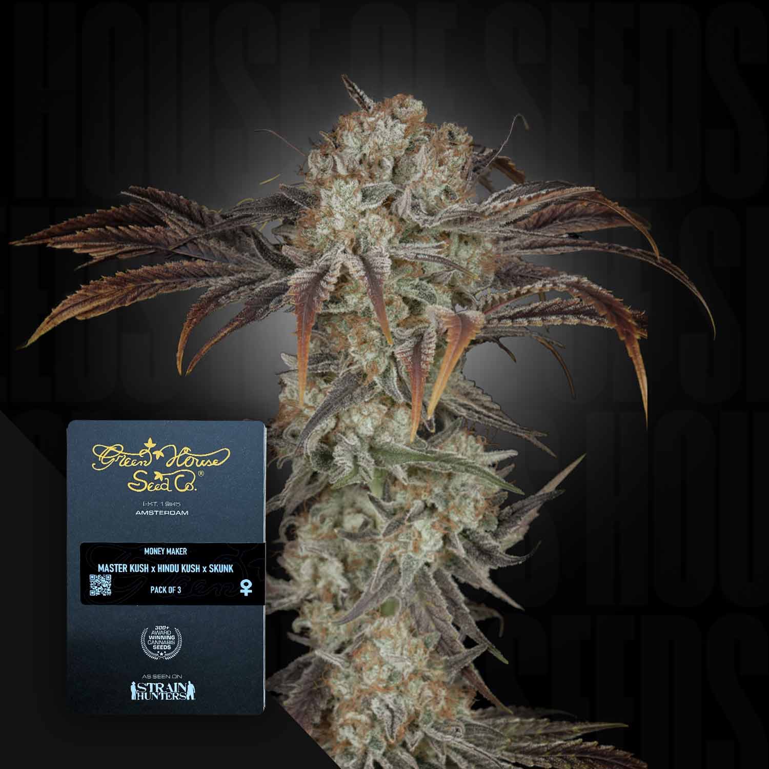 Green House Seed Co. Money Maker Feminisierte Cannabis Samen
