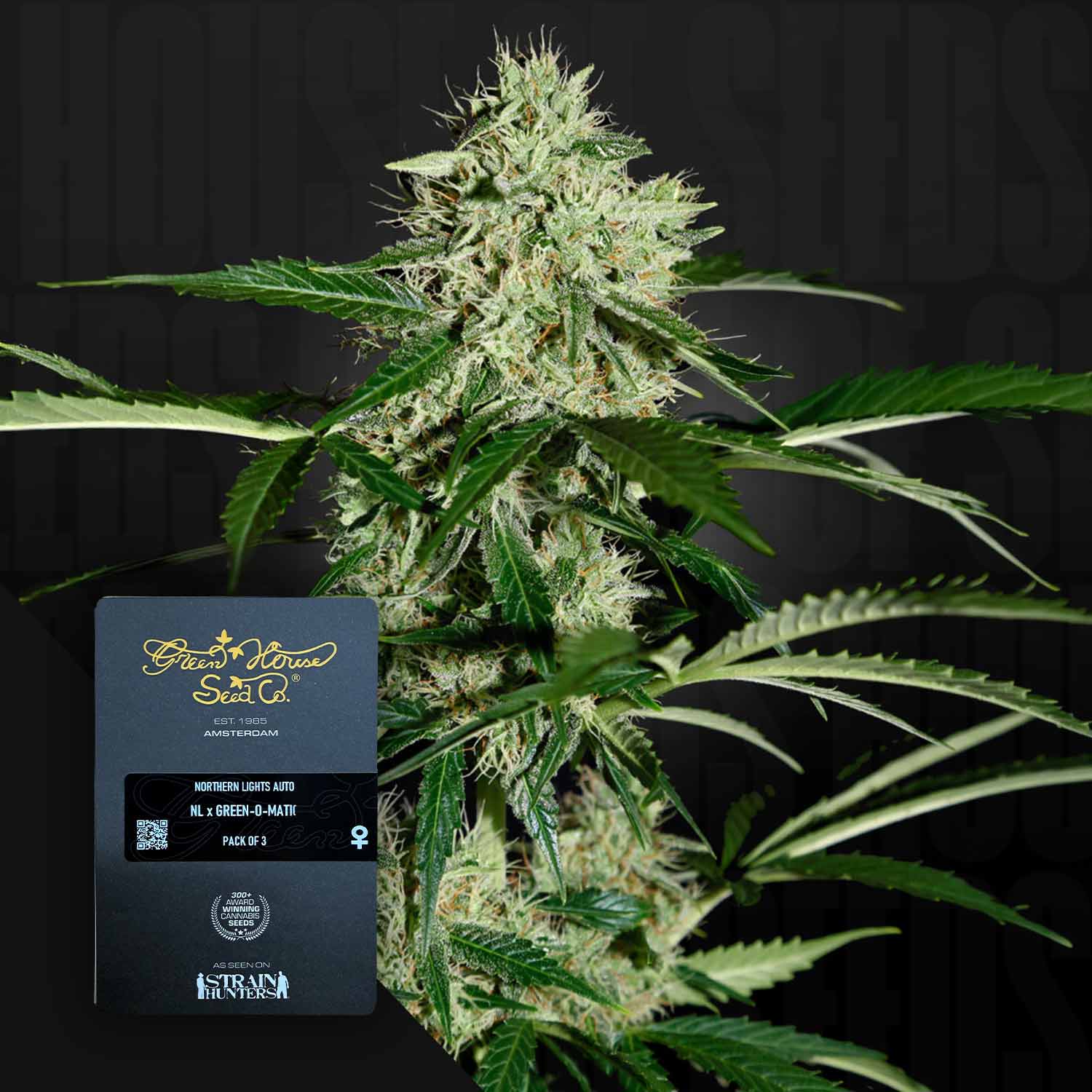 Green House Seed Co. Northern Lights Auto Autoflowering Cannabis Samen
