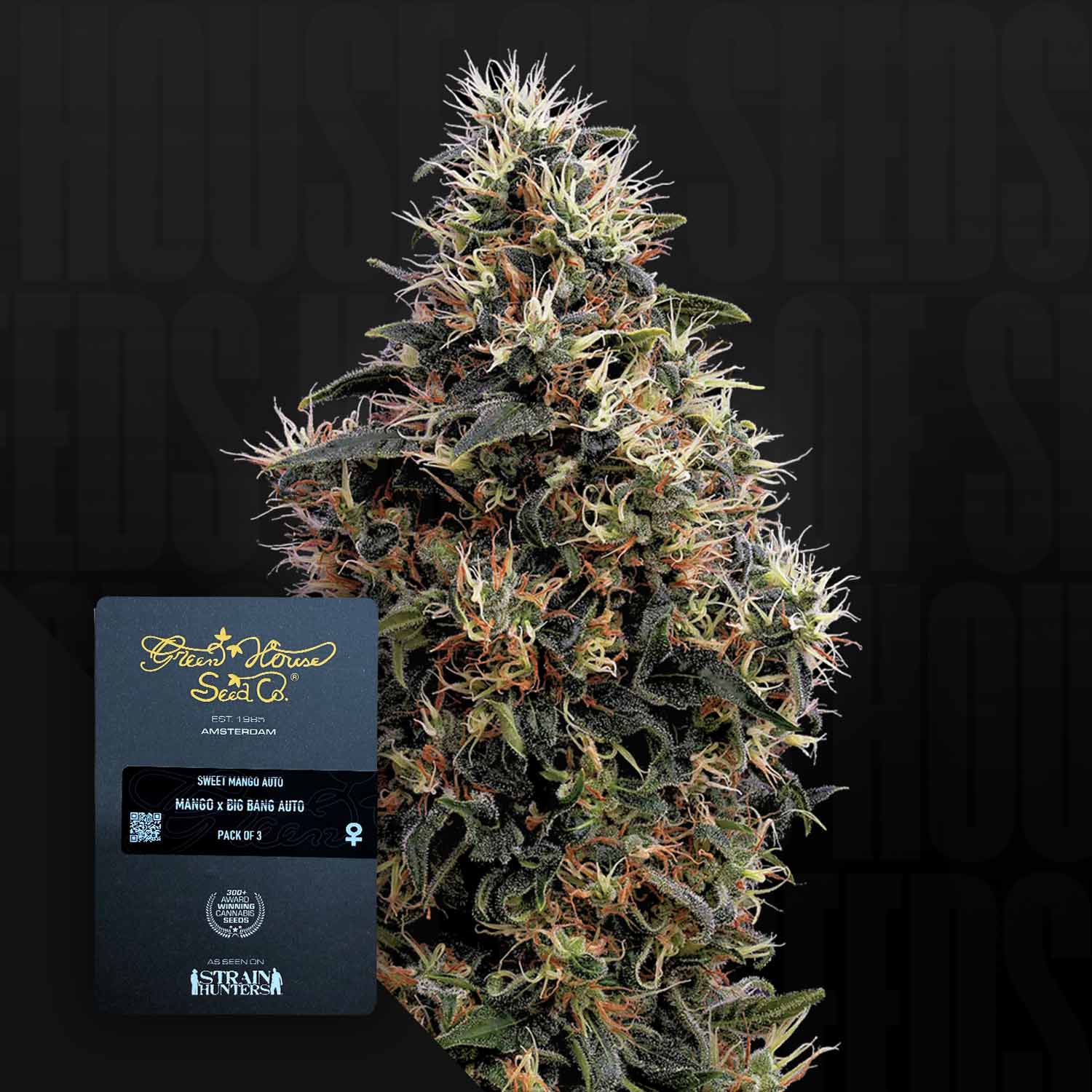 Green House Seed Co. Sweet Mango Auto Autoflowering Cannabis Samen