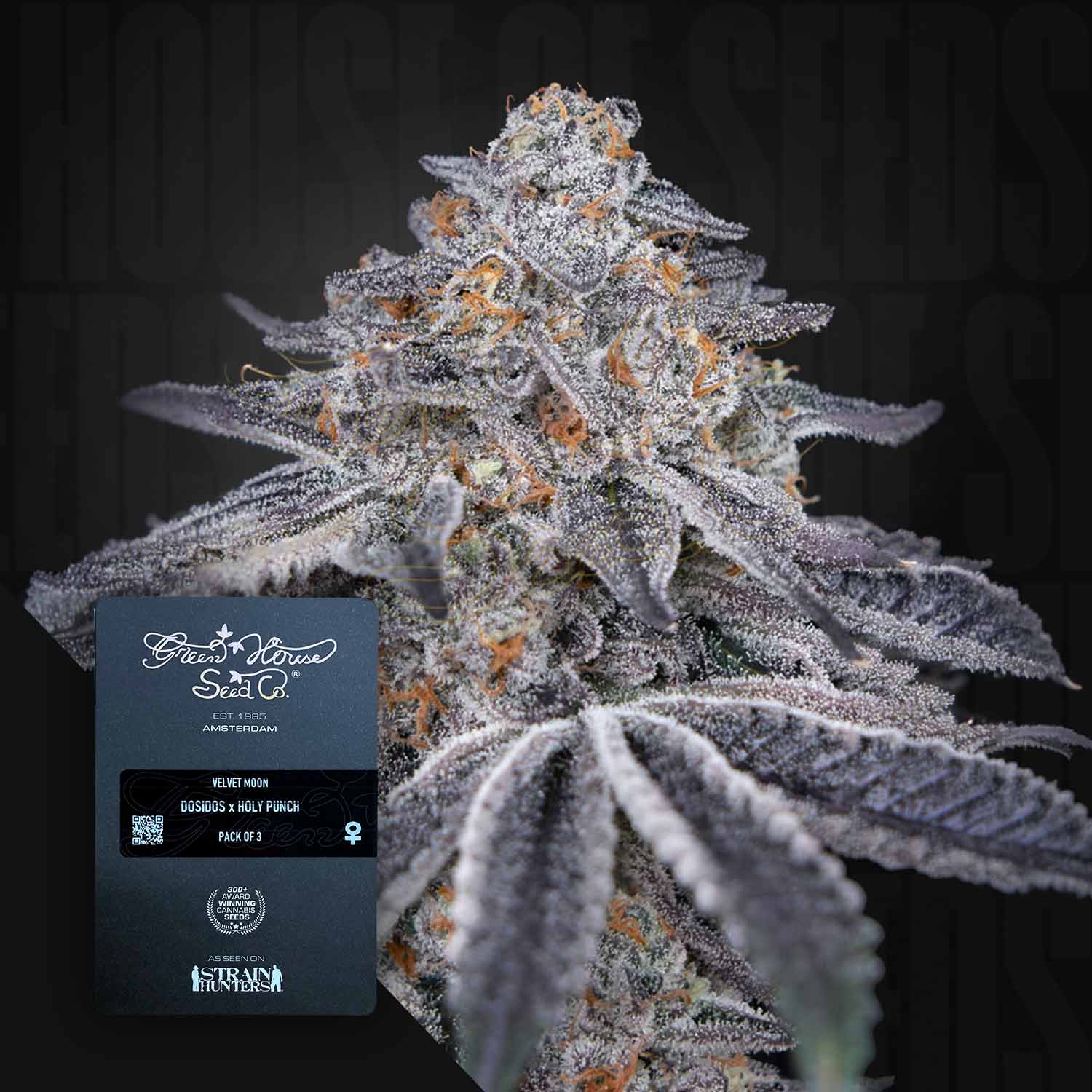 Green House Seed Co. Velvet Moon Feminisierte Cannabis Samen