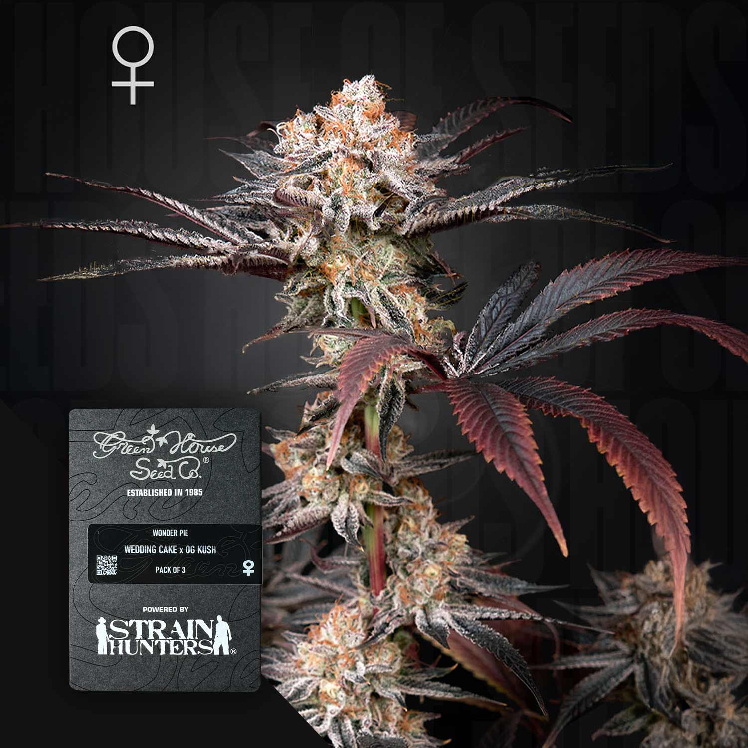 Green House Seed Co. Wonder Pie Feminisierte Cannabis Samen