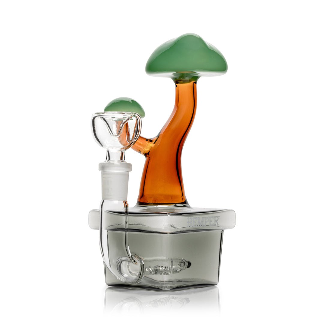 HEMPER Bonsai Wasserfilter-Glas – Bild 2