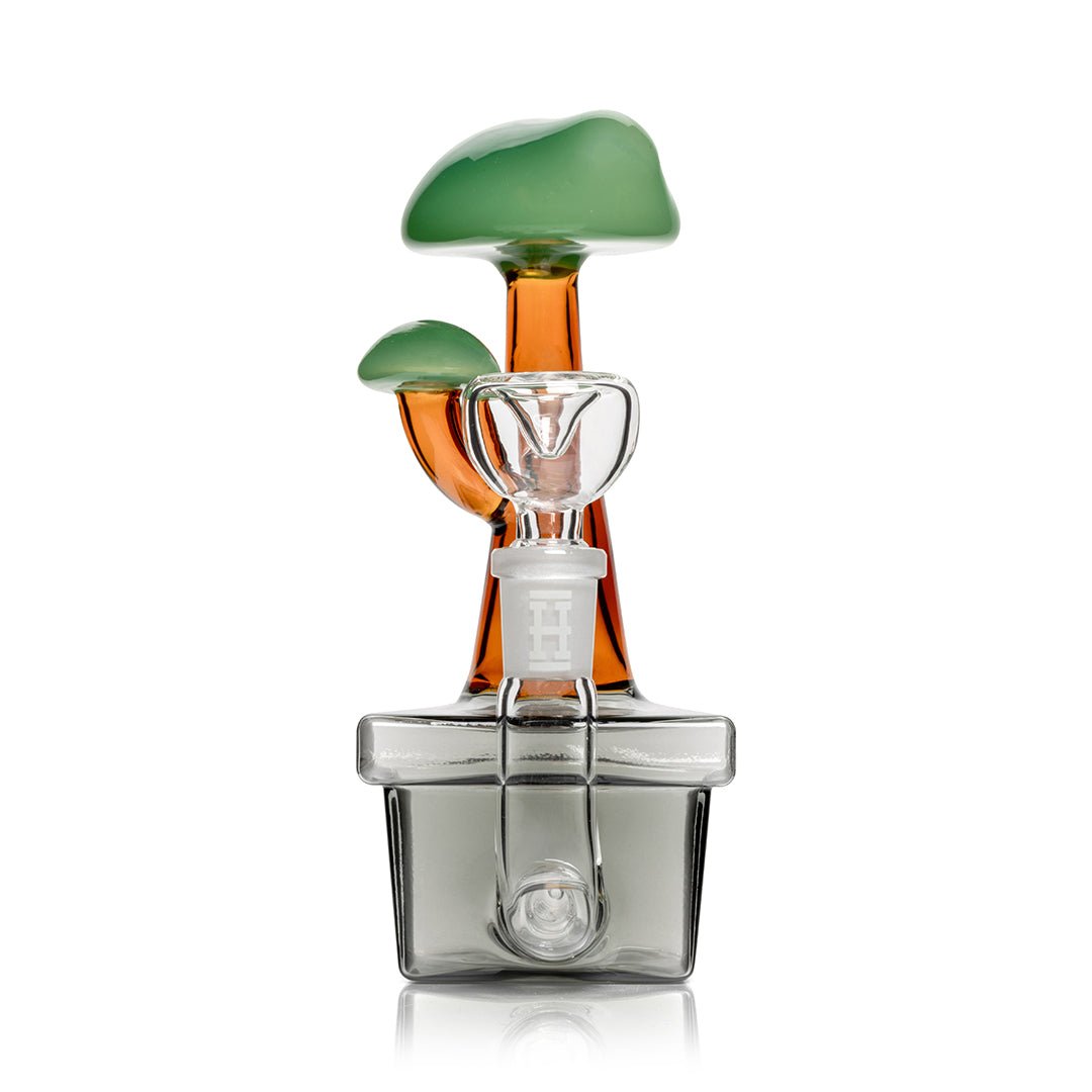 HEMPER Bonsai Wasserfilter-Glas – Bild 3