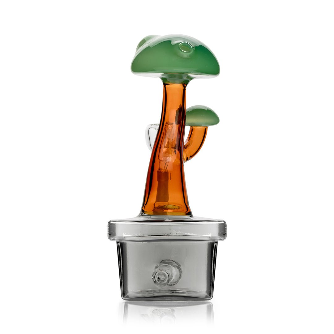 HEMPER Bonsai Wasserfilter-Glas – Bild 5
