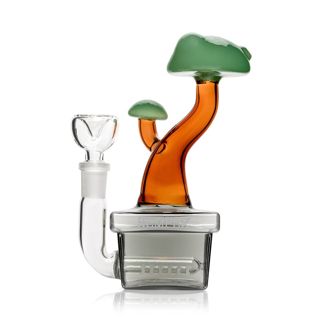 HEMPER Bonsai Wasserfilter-Glas – Bild 6
