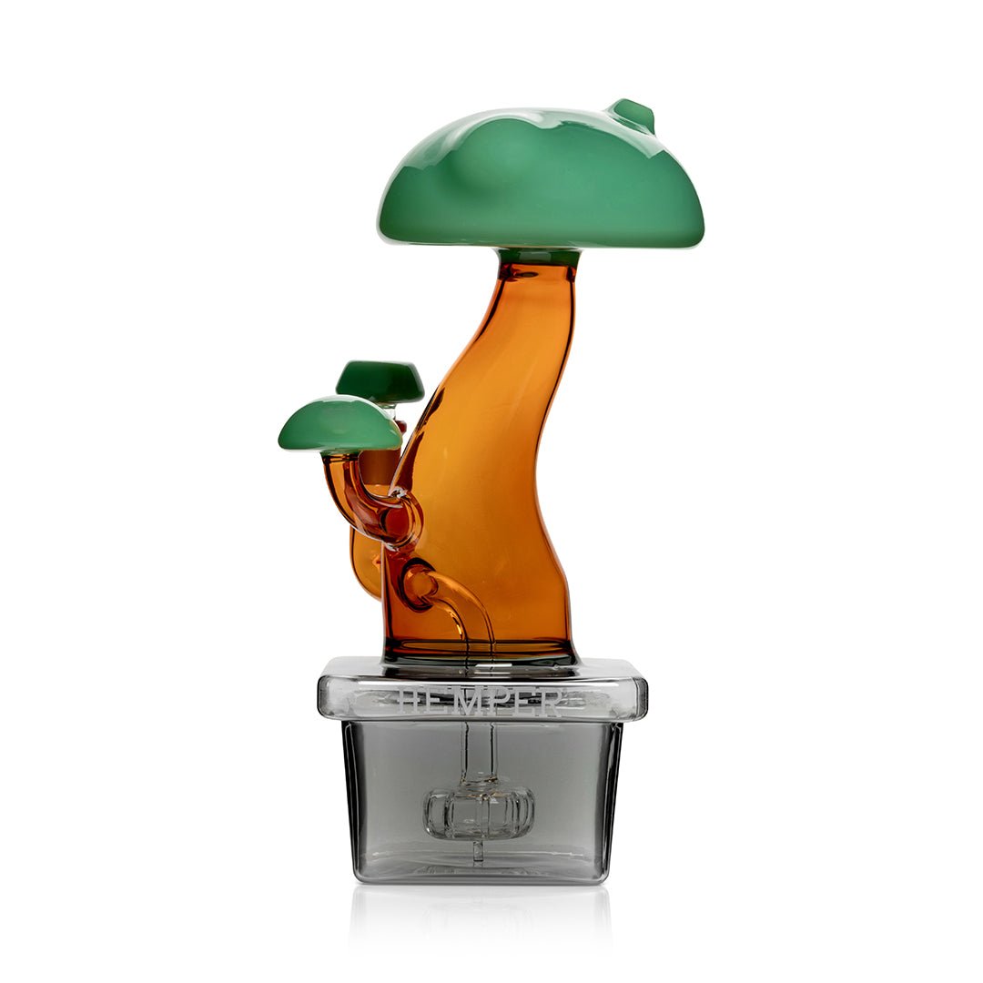 HEMPER Bonsai Wasserfilter-Glas XL – Bild 7