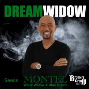 Brothers Grimm Seeds Montel’s Dream Widow feminisiert – 9 Samen