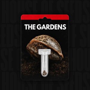 Preferred Gardens Twin x Blue Zu Feminisierte Cannabis Samen