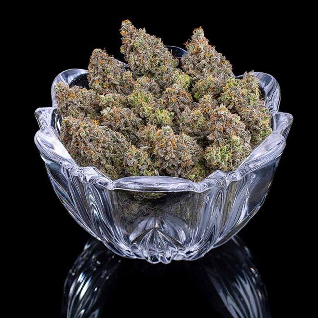 Brothers Grimm Seeds Princess Haze feminisiert – Samenverpackung, dritte Ansicht