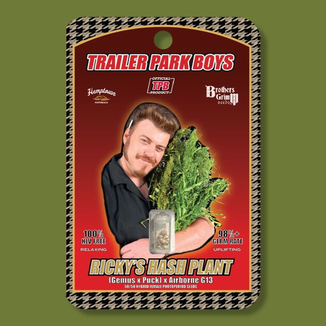Brothers Grimm Seeds Ricky's Hash Plant feminisiert – Samenverpackung
