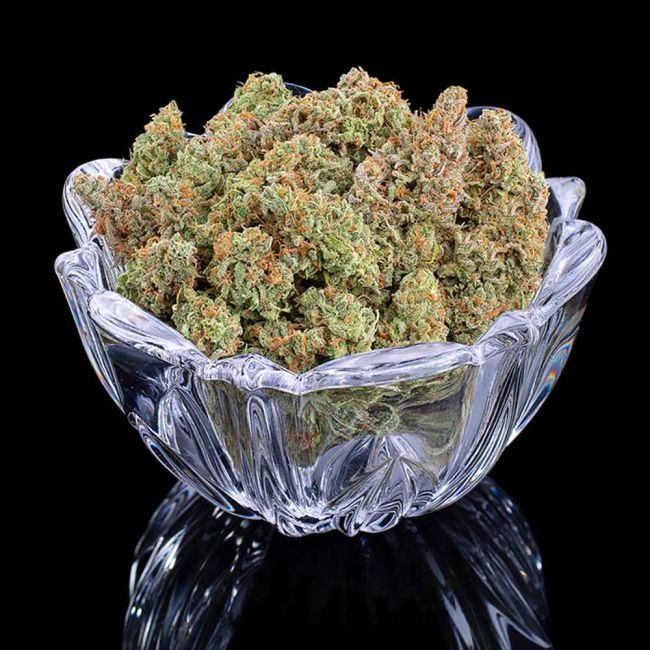 Brothers Grimm Seeds Thai Herer 99 feminisiert – Samenverpackung, dritte Ansicht