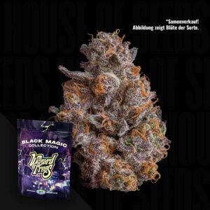 Wizard Trees Shazam - 3er Packung