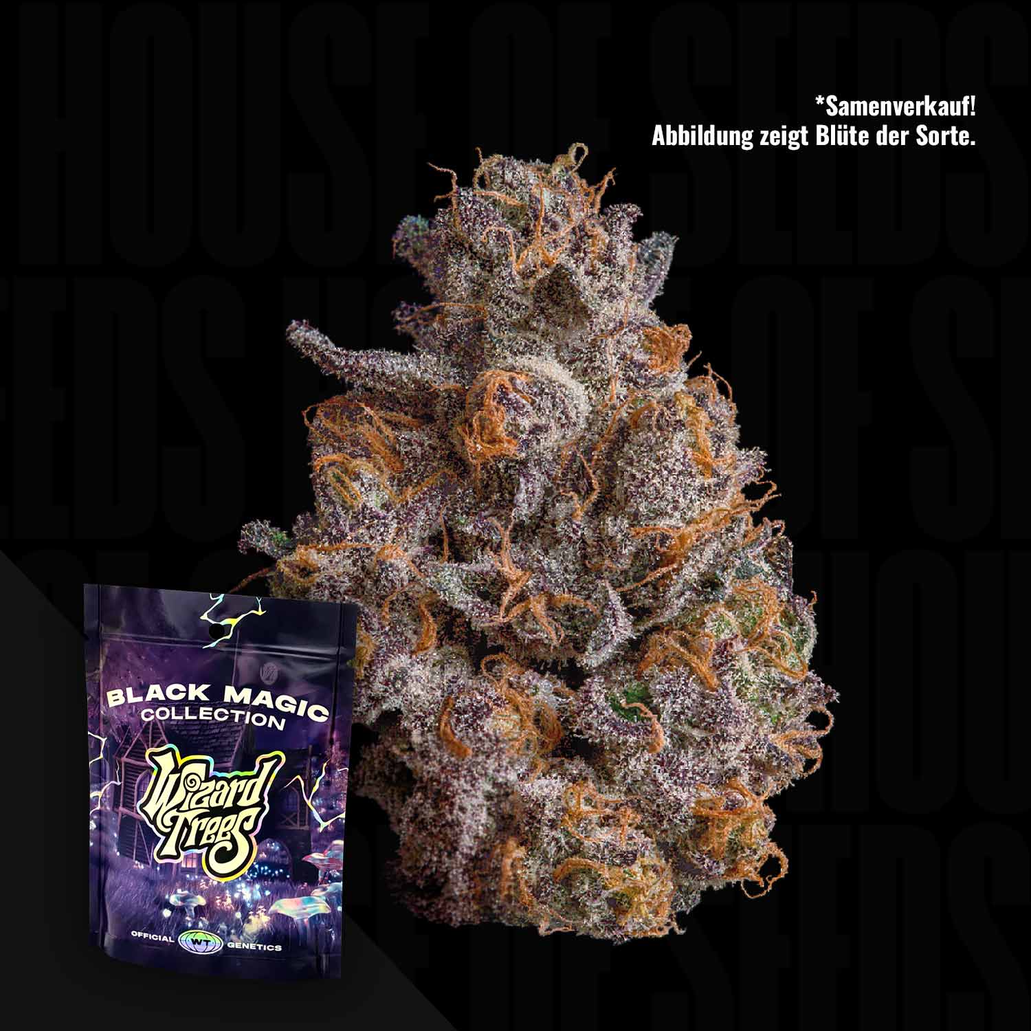 Wizard Trees Shazam - 3er Packung