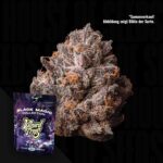 Wizard Trees Tea Tree - 3er Packung