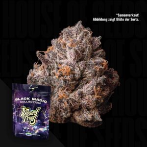 Wizard Trees Tea Tree - 3er Packung